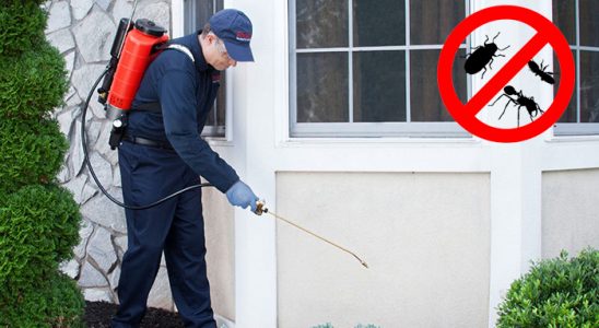 Köprüköy Bit İlaçlama böcek ilaçlama ve haşere kontrolü — ilaclama-tr.com
